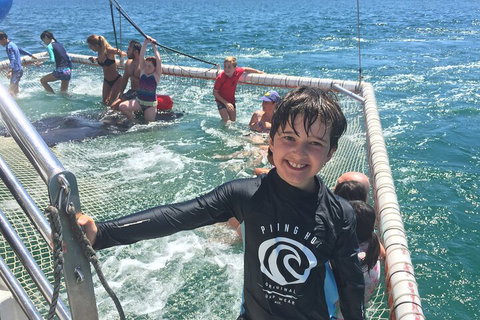Port Stephens Private Tour From Sydney, With Dolphin/ Whale Cruise Options - New South Wales Tourism  0