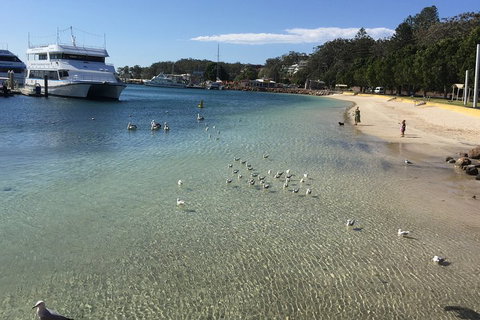 Port Stephens Private Tour From Sydney, With Dolphin/ Whale Cruise Options - New South Wales Tourism  1