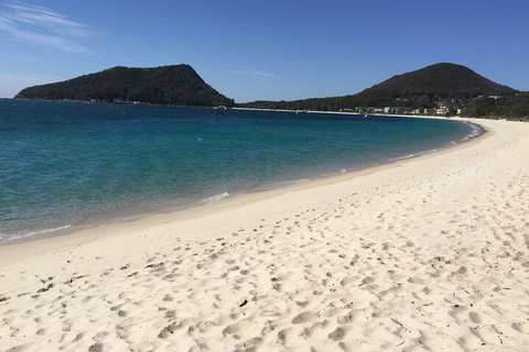 Port Stephens Private Tour From Sydney, With Dolphin/ Whale Cruise Options - New South Wales Tourism  2