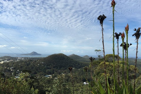 Port Stephens Private Tour From Sydney, With Dolphin/ Whale Cruise Options - New South Wales Tourism  3