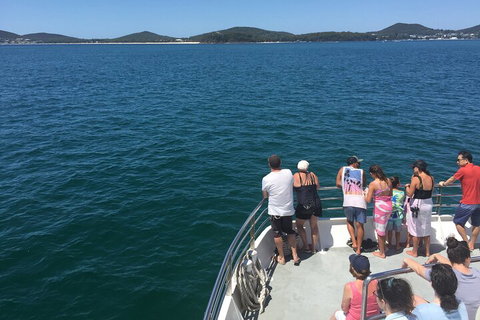 Port Stephens Private Tour From Sydney, With Dolphin/ Whale Cruise Options - New South Wales Tourism  4
