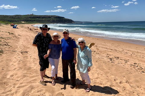 Shore Excursion: Sydney's Northern Beaches & Ku-ring-gai National Park Bus Tour - New South Wales Tourism  3