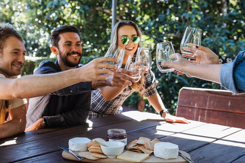 Full-day Wine-Tasting And Tamborine Mountain Tour With Lunch - New South Wales Tourism  0