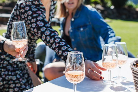 Full-day Wine-Tasting And Tamborine Mountain Tour With Lunch - New South Wales Tourism  1