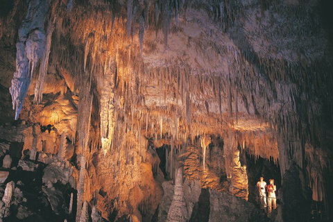 4 Day Tour: Albany, Margaret River, Valley Of The Giants TreeTop Walk From Perth - New South Wales Tourism  1