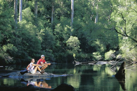 4 Day Tour: Albany, Margaret River, Valley Of The Giants TreeTop Walk From Perth - New South Wales Tourism  3