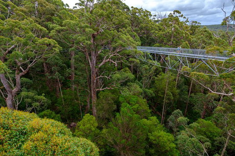 4 Day Tour: Albany, Margaret River, Valley Of The Giants TreeTop Walk From Perth - New South Wales Tourism  4