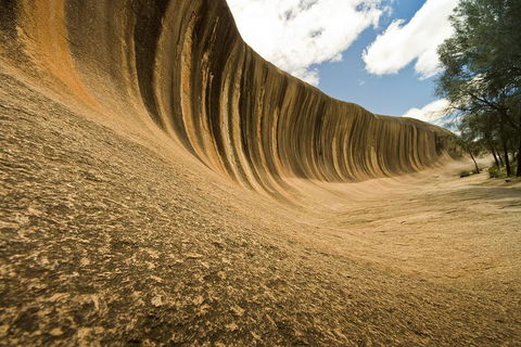 Wave Rock, York, Wildflowers, And Aboriginal Cultural Day Tour From Perth - New South Wales Tourism  0