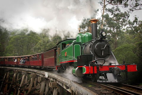 Puffing Billy, Wildlife Sanctuary & Penguins Day Tour From Melbourne - New South Wales Tourism  5
