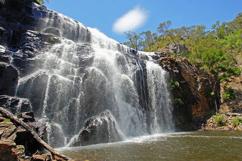 Grampians National Park Small-Group Eco Tour From Melbourne - New South Wales Tourism  0