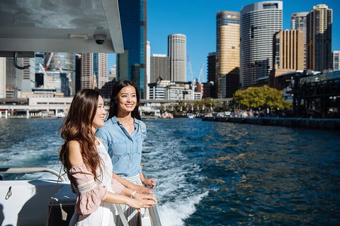 Sydney Harbour Hop-on Hop-off Cruise - New South Wales Tourism  2