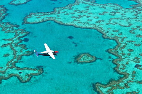 Reef And Island Scenic Flight From Airlie Beach - New South Wales Tourism  4