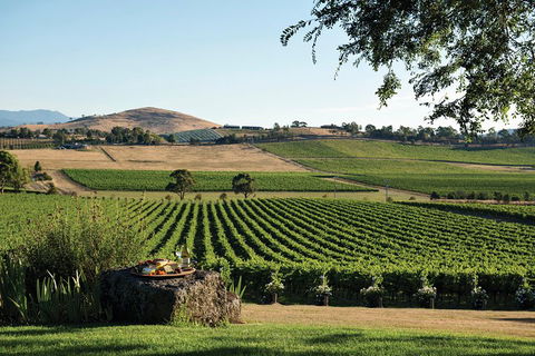Small Group 6 Guests: Ultimate Yarra Valley Food And Wine - Mercedes Van - New South Wales Tourism  4