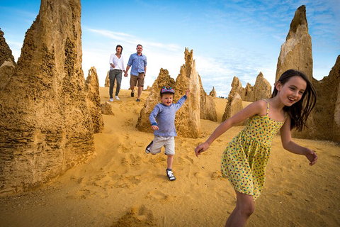 Full-Day Pinnacles Desert And Yanchep National Park Tour From Perth - New South Wales Tourism  0