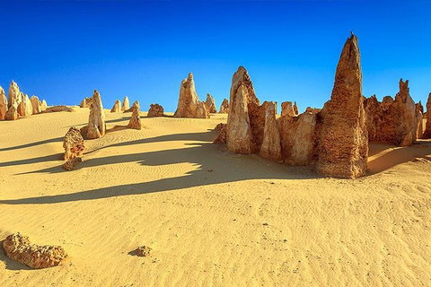 Full-Day Pinnacles Desert And Yanchep National Park Tour From Perth - New South Wales Tourism  2