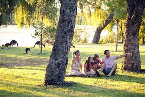 Full-Day Pinnacles Desert And Yanchep National Park Tour From Perth - New South Wales Tourism  3