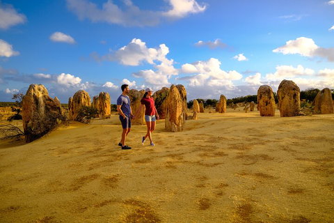 Full-Day Pinnacles Desert And Yanchep National Park Tour From Perth - New South Wales Tourism  4