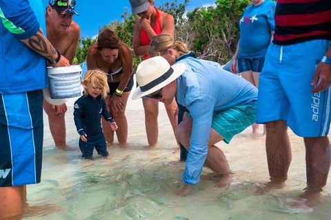 Whitehaven Beach And Hamilton Island Cruise - New South Wales Tourism  1
