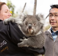 Bonorong Wildlife Park and Richmond Afternoon Tour from Hobart - New South Wales Tourism 