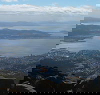 Mt Wellington Tour and MONA Admission - New South Wales Tourism 
