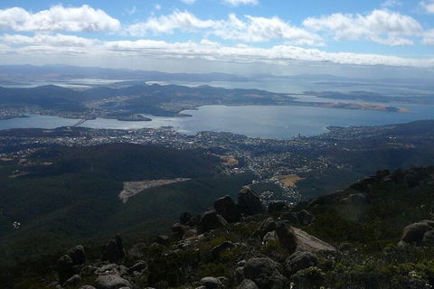 Mt Wellington Tour And MONA Admission - New South Wales Tourism  2