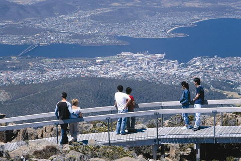 Mt Wellington Tour And MONA Admission - New South Wales Tourism  4