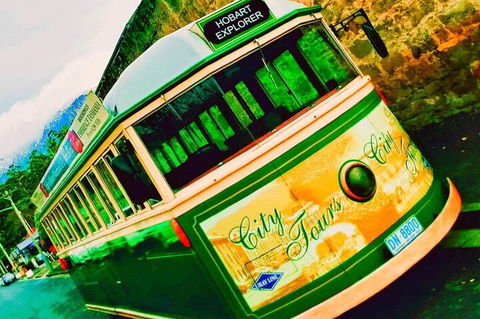 Hobart Half-Day Sightseeing Coach Tram Tour - New South Wales Tourism  5