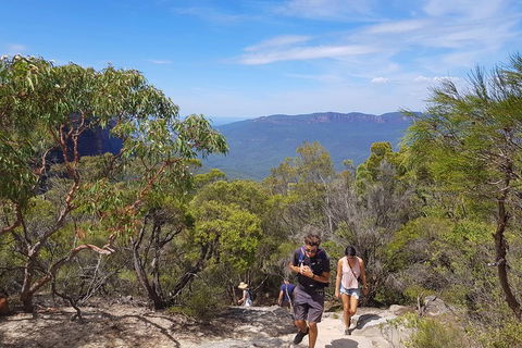 Blue Mountains Unique Small-Group Day Adventure With BBQ Lunch - New South Wales Tourism  3