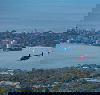 30-Minute Sydney Harbour and Olympic Park Helicopter Tour - New South Wales Tourism 