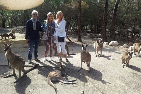 Private Scenic Day Trip From Sydney For Families And Friends - New South Wales Tourism  1