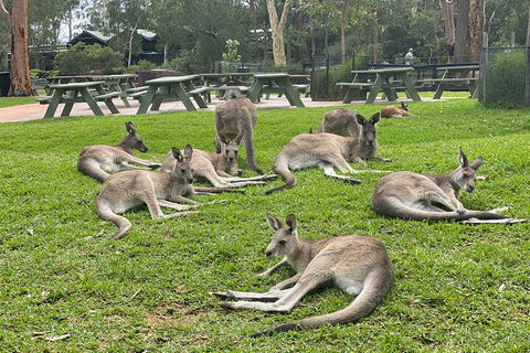 Private Scenic Day Trip From Sydney For Families And Friends - New South Wales Tourism  4