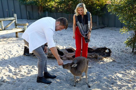 Albany's Whale Story - New South Wales Tourism  1