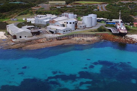 Albany's Whale Story - New South Wales Tourism  4