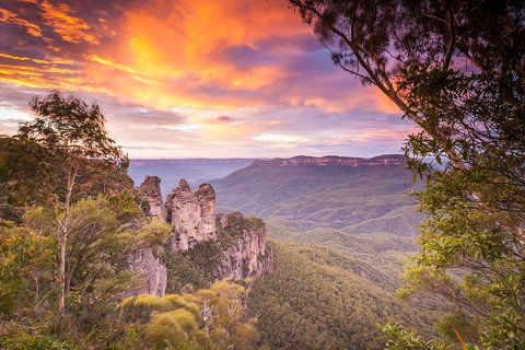 Fully Inclusive Blue Mountains Private Tour Inc Scenic World & Featherdale Entry - New South Wales Tourism  5