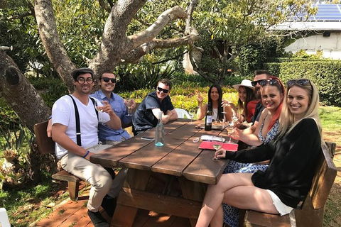 Private Full Day Wine Tour From The Gold Coast To Tamborine Mountain - New South Wales Tourism  0