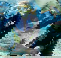 Shark Dive Experience at SEA LIFE Melbourne Aquarium