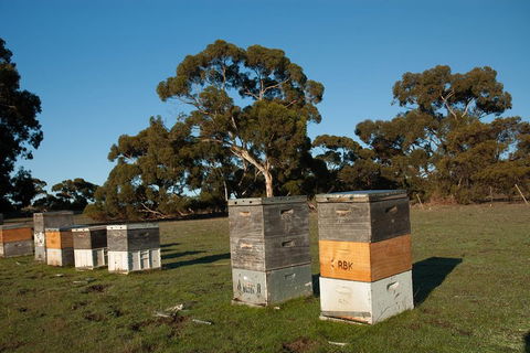 Fine Flavours - Full Day Kangaroo Island Food & Wine Tour - New South Wales Tourism  1