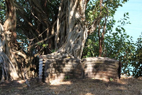 Darwin Walking Tour: World War II Reflections - New South Wales Tourism  3