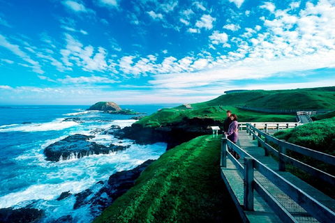 Puffing Billy, Moonlit Sanctuary & Penguins Day Tour - New South Wales Tourism  2