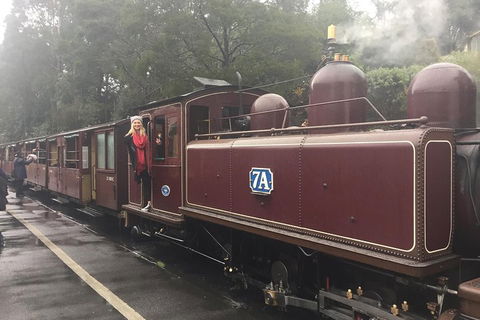Puffing Billy, Moonlit Sanctuary & Penguins Day Tour - New South Wales Tourism  4