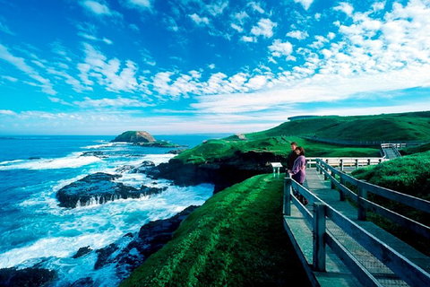Melbourne Combo: Great Ocean Road + Phillip Island Express + Attraction Pass - New South Wales Tourism  1