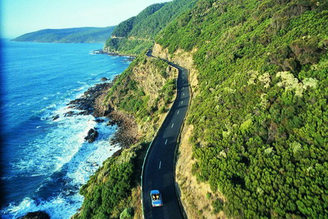 Melbourne Combo: Great Ocean Road + Phillip Island Express + Attraction Pass - New South Wales Tourism  4