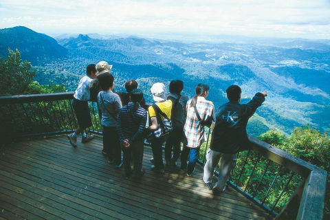 Springbrook National Park & Gold Coast Full Day Luxury Tour From Brisbane - New South Wales Tourism  0