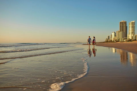 Springbrook National Park & Gold Coast Full Day Luxury Tour From Brisbane - New South Wales Tourism  1