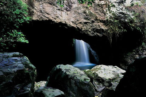 Springbrook National Park & Gold Coast Full Day Luxury Tour From Brisbane - New South Wales Tourism  2