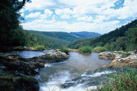 Springbrook National Park & Gold Coast Full Day Luxury Tour From Brisbane - New South Wales Tourism  3