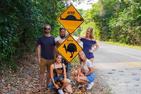 Cape Tribulation, Daintree Rainforest And Wildlife Tour - New South Wales Tourism  0