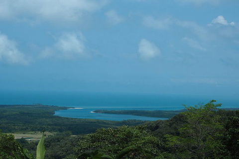 Cape Tribulation, Daintree Rainforest And Wildlife Tour - New South Wales Tourism  1