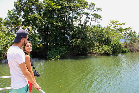 Cape Tribulation, Daintree Rainforest And Wildlife Tour - New South Wales Tourism  2