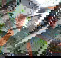 Virtual Interactive Australian Wildlife Tour With Private Guide-Wildlife Habitat - New South Wales Tourism 